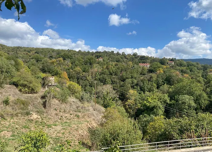 Apartman Karyatida *